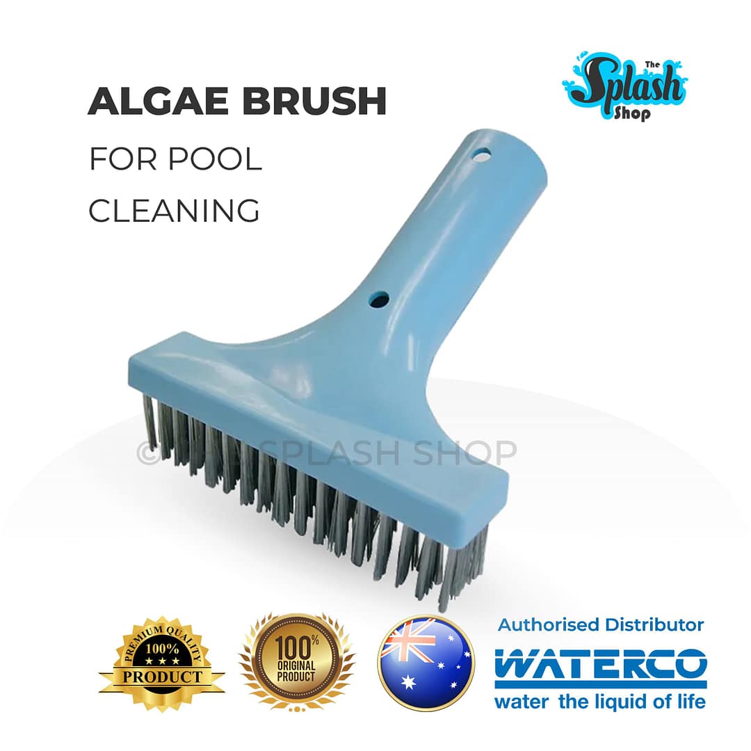 WATERCO Algae Brush for Swimming Pool Cleaning