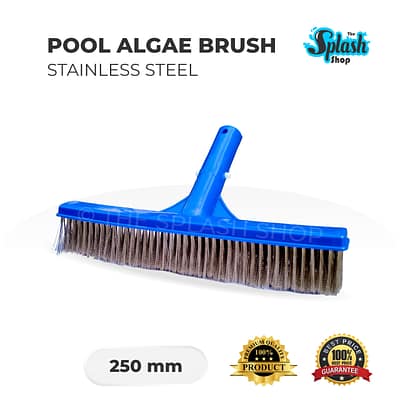 Stainless Steel Swimming Pool Algae Brush - 250mm
